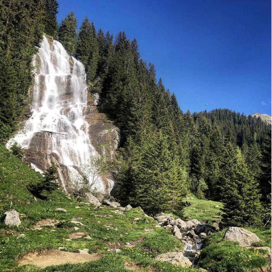 Micro-Lodge, Le Petit Nid D'Amour Montriond Exterior photo