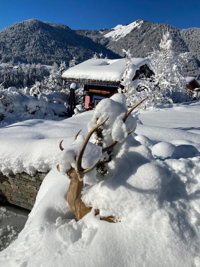 Micro-Lodge, Le Petit Nid D'Amour Montriond Exterior photo