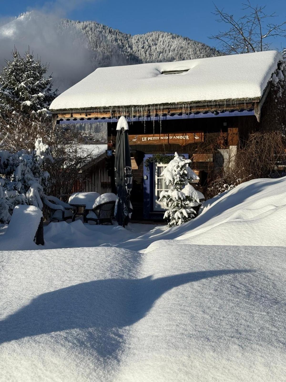 Micro-Lodge, Le Petit Nid D'Amour Montriond Exterior photo